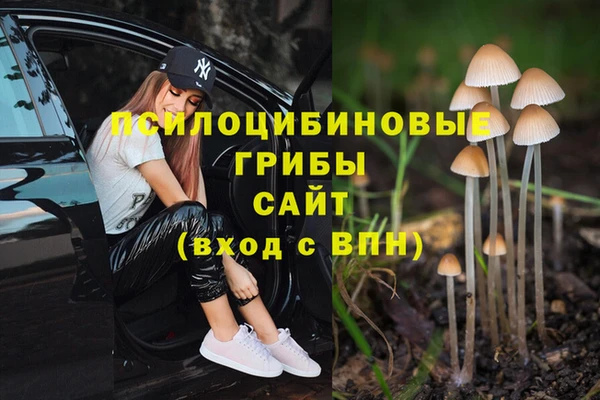 спиды Алексин