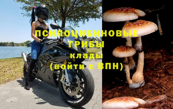 амф Осташков