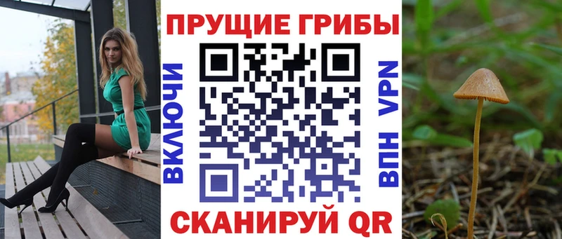 Псилоцибиновые грибы ЛСД  где купить наркотик  Покров 